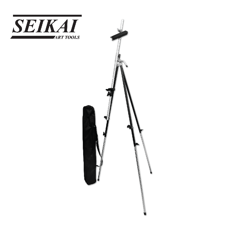 SE15131.png